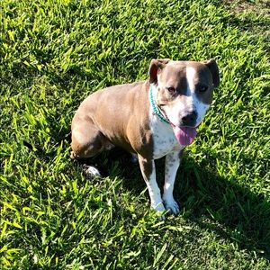 Meet your Posher, Holly